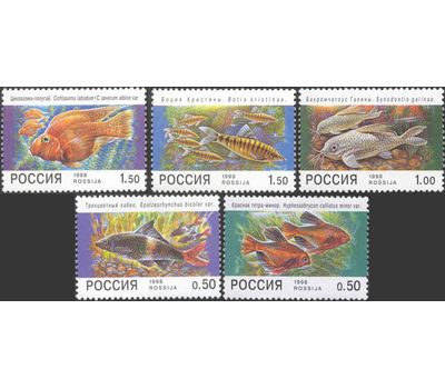  5 почтовых марок «Фауна. Аквариумные рыбы» 1998, фото 1 