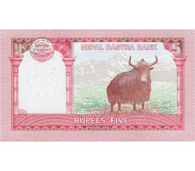  Банкнота 5 рупий 2020 Непал Пресс, фото 1 