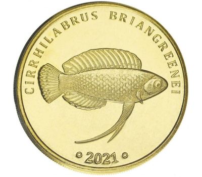  Монета 5 ринггит 2021 «Рыба Циррилабрус» Лабуан (Малайзия), фото 1 