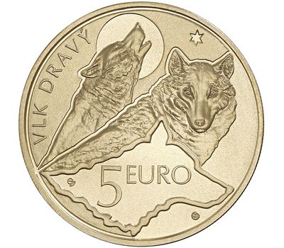  Монета 5 евро 2021 «Хищный волк» Словакия, фото 2 