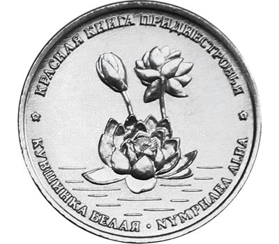  Монета 1 рубль 2021 «Кувшинка белая» Приднестровье, фото 1 
