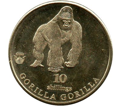  Монета 10 шиллингов 2021 «Горилла» Биафра (Нигерия), фото 1 