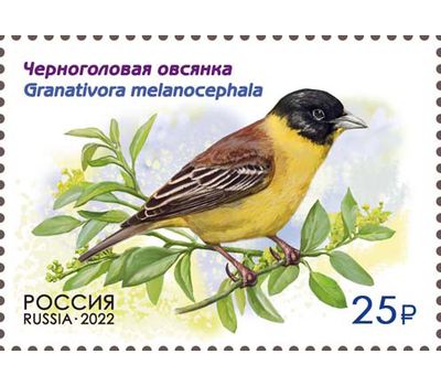  4 почтовые марки «Фауна России. Певчие птицы» 2022, фото 2 