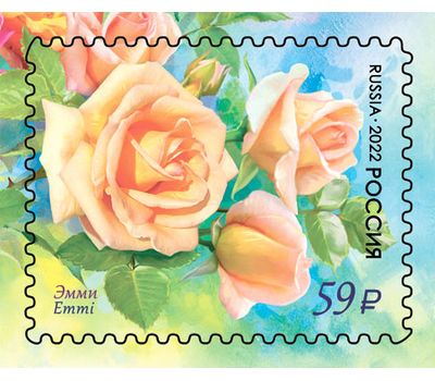  4 почтовые марки «Флора России. Цветы. Розы» 2022, фото 5 