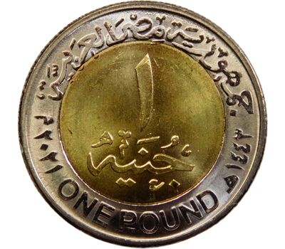  Монета 1 фунт 2022 «Государственный Совет» Египет, фото 2 