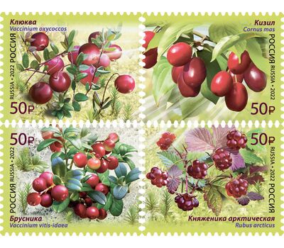  4 почтовые марки «Флора России. Ягоды» 2022, фото 1 