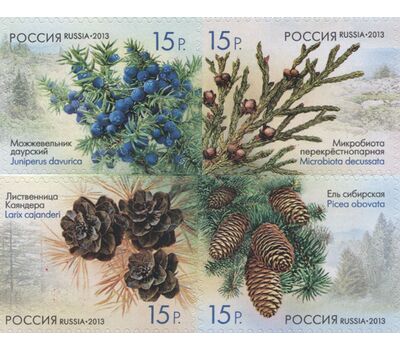  4 почтовые марки «Флора России. Шишки хвойных деревьев и кустарников» 2013, фото 1 