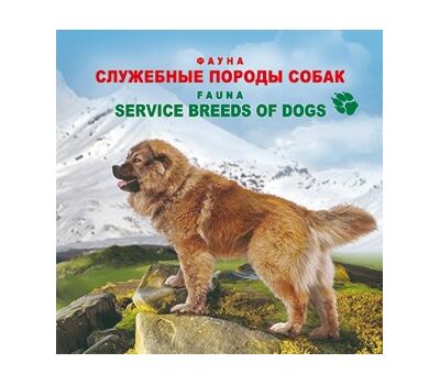  Сувенирный набор в художественной обложке «Фауна России. Служебные породы собак» 2015, фото 1 