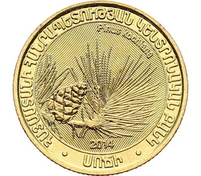  Монета 200 драм 2014 «Сосна Коха» Армения, фото 1 