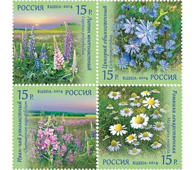 4 почтовые марки «Флора России. Полевые цветы» 2014, фото 1 