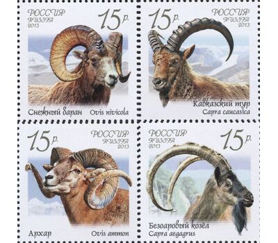  4 почтовые марки «Фауна России. Дикие козлы и бараны» 2013, фото 1 
