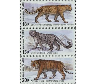  3 почтовые марки «Фауна России. Дикие кошки» 2014, фото 1 