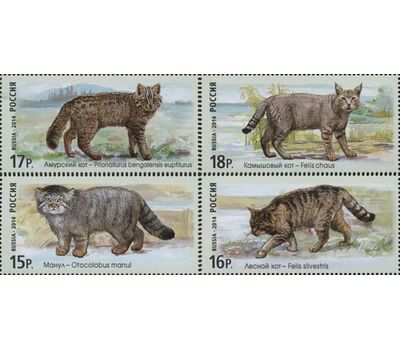 4 почтовые марки «Фауна России. Дикие кошки. Манул, Лесной кот, Камышовый кот» 2014, фото 1 