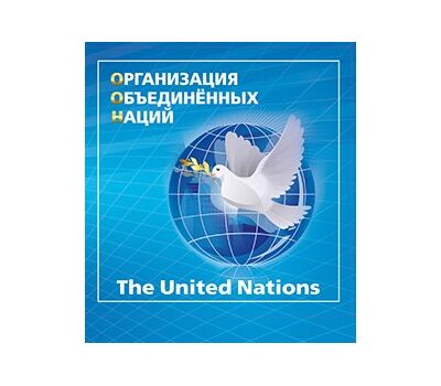  Сувенирный набор в художественной обложке «Организация Объединённых Наций» 2015, фото 1 