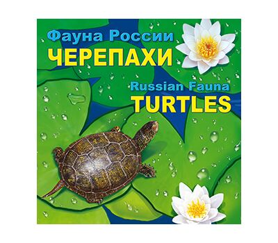  Сувенирный набор в художественной обложке «Фауна России. Черепахи» 2017, фото 1 