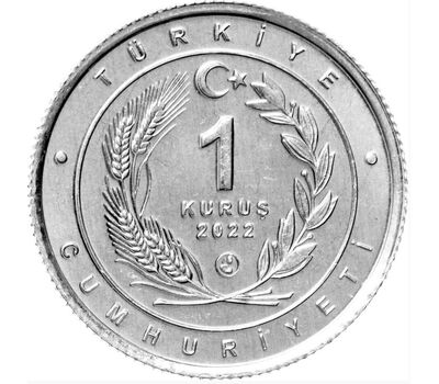  Монета 1 куруш 2022 «Леопард» Турция, фото 2 