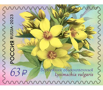  4 почтовые марки «Флора России. Первоцветные» 2023, фото 2 