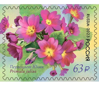  4 почтовые марки «Флора России. Первоцветные» 2023, фото 5 