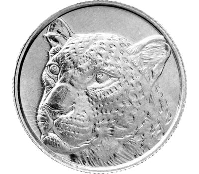  Монета 1 куруш 2022 «Леопард» Турция, фото 1 