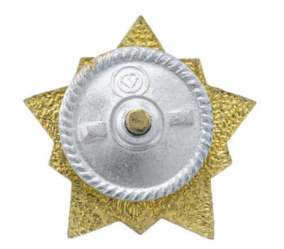  Значок «Воин-спортсмен», 2 разряд СССР (винтовой), фото 2 