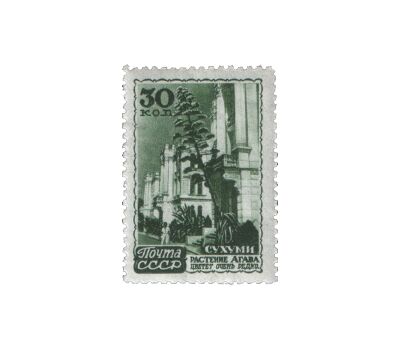  10 почтовых марок «Курорты» СССР 1947, фото 7 