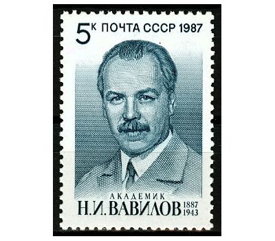  Почтовая марка «100 лет со дня рождения Н.И. Вавилова» СССР 1987, фото 1 