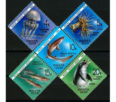  5 почтовых марок «Фауна Черного моря» СССР 1991, фото 1 