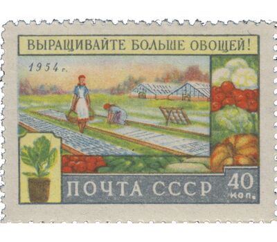  4 почтовые марки (1707-1710) «За подъем сельского хозяйства» СССР 1954, фото 3 