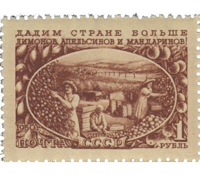  4 почтовые марки «Сельское хозяйство» СССР 1951, фото 4 