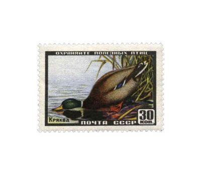  8 почтовых марок «Фауна» СССР 1957, фото 8 