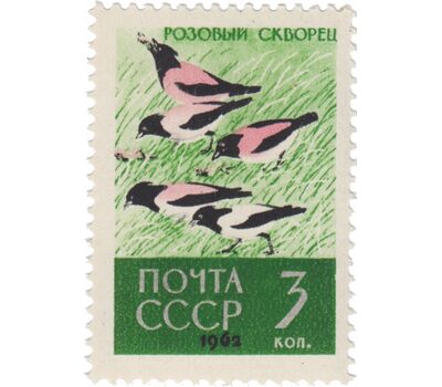  5 почтовых марок «Птицы» СССР 1962, фото 2 