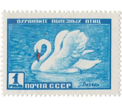  6 почтовых марок «Фауна» СССР 1959, фото 2 