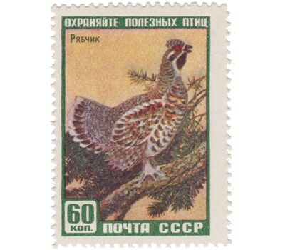  6 почтовых марок «Фауна» СССР 1959, фото 3 