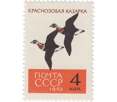 5 почтовых марок «Птицы» СССР 1962, фото 3 