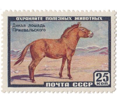  6 почтовых марок «Фауна» СССР 1959, фото 4 