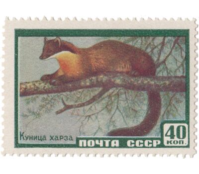  6 почтовых марок «Фауна» СССР 1959, фото 5 