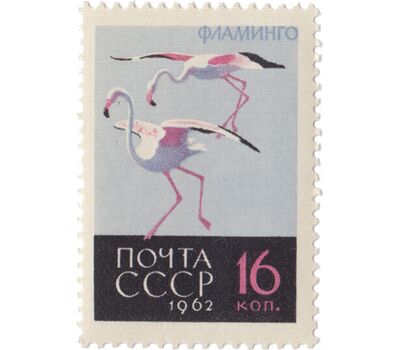  5 почтовых марок «Птицы» СССР 1962, фото 6 