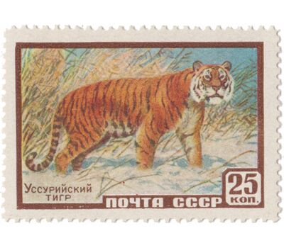  6 почтовых марок «Фауна» СССР 1959, фото 6 