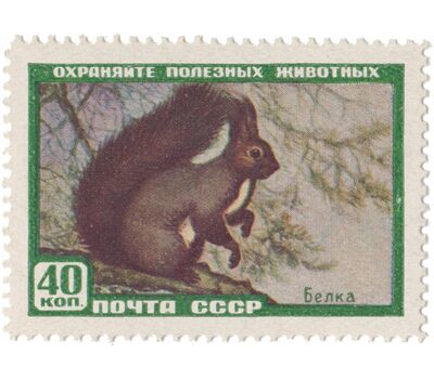  6 почтовых марок «Фауна» СССР 1959, фото 7 