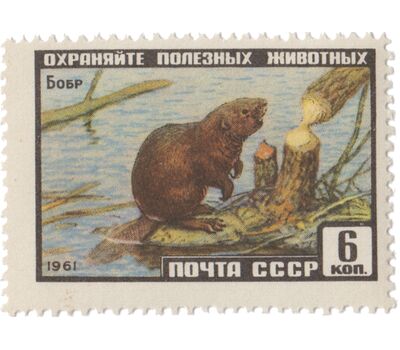  3 почтовые марки «Фауна» СССР 1961, фото 3 