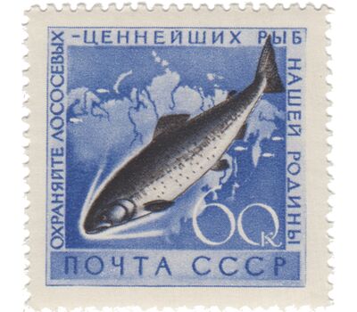  2 почтовые марки «Охрана морской фауны» СССР 1959, фото 2 