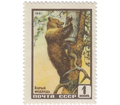  3 почтовые марки «Фауна» СССР 1961, фото 4 