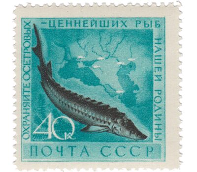  2 почтовые марки «Охрана морской фауны» СССР 1959, фото 3 