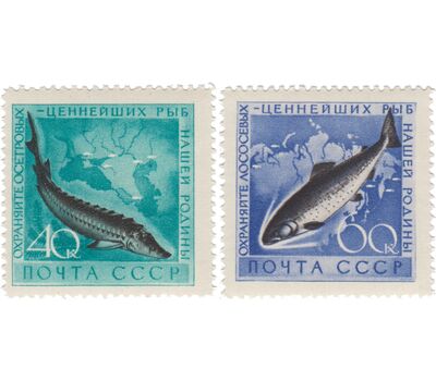  2 почтовые марки «Охрана морской фауны» СССР 1959, фото 1 