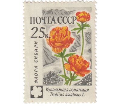  8 почтовых марок «Флора» СССР 1960, фото 3 