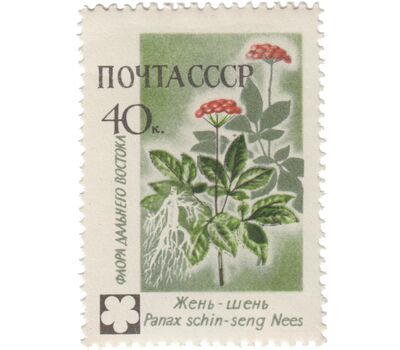  8 почтовых марок «Флора» СССР 1960, фото 5 