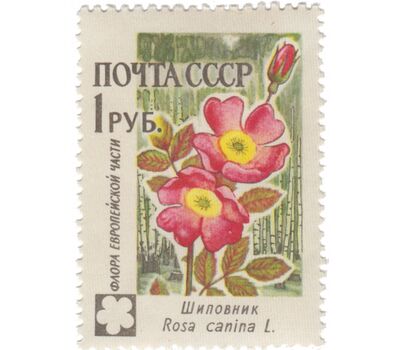  8 почтовых марок «Флора» СССР 1960, фото 6 