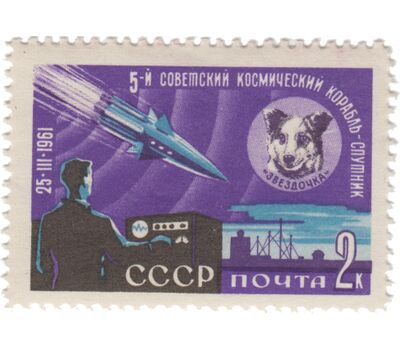  Почтовая марка «Пятый советский космический корабль-спутник» СССР 1961, фото 1 