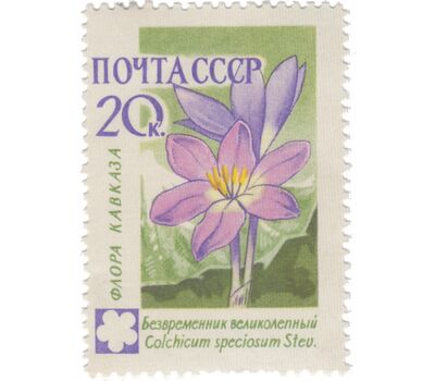  8 почтовых марок «Флора» СССР 1960, фото 9 