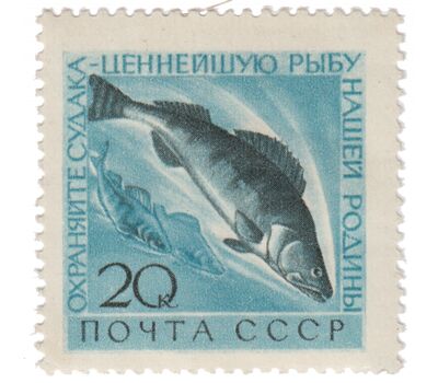  3 почтовые марки «Охрана ценных рыб и морских животных» СССР 1960, фото 2 